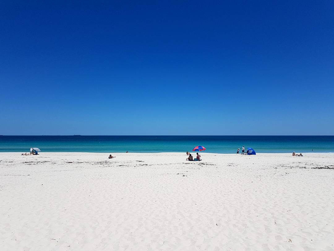 Leighton Beach, one of the dog-friendly beaches Perth WA.