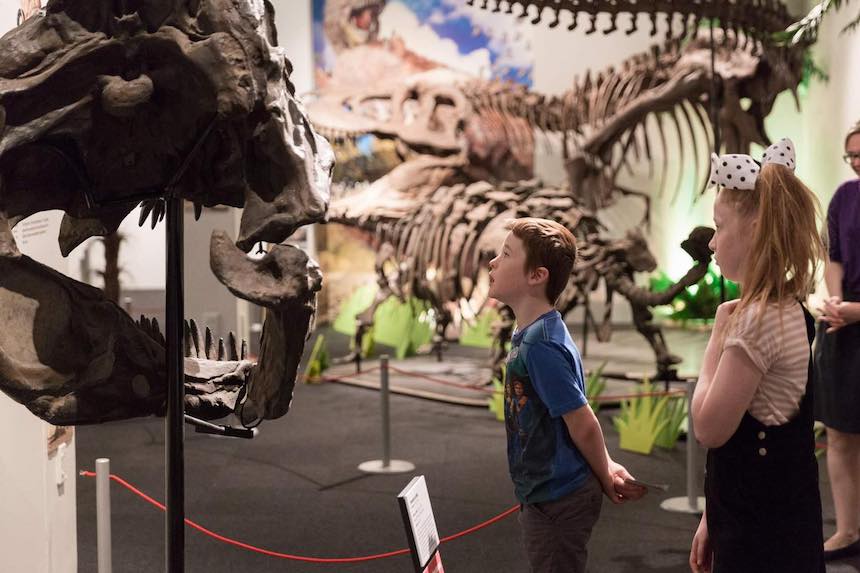 Cheap things to do in Adelaide: school holidays activities & workshops @ South Australian Museum.