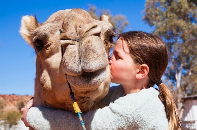 Camel Ride Tour For Kids Alice Springs