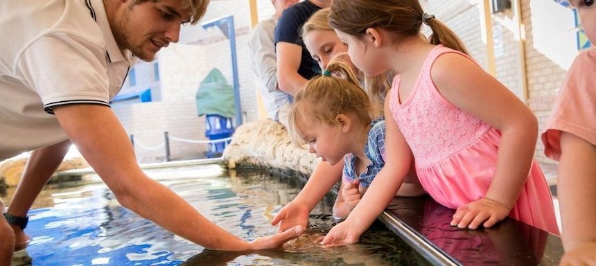 Perth activities for kids: Aquarium of Western Australia is one of the best fun things to do in Perth with family.
