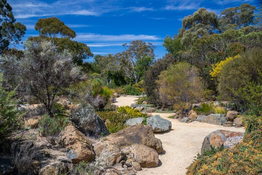 Canberra free things to do: Australian National Botanic Gardens.