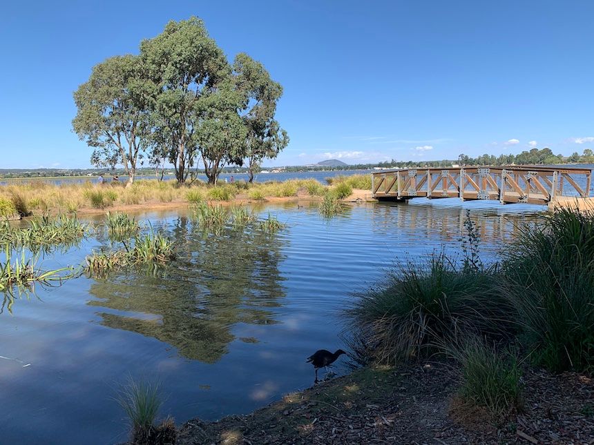 Beautiful Lake Wendouree is next to Ballarat Botanical Gardens.