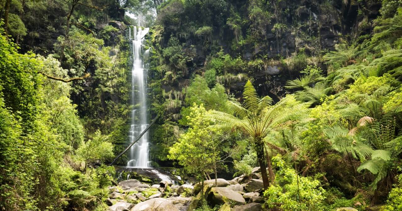 Discover the best waterfalls in Victoria, Australia, to visit with kids, including MacKenzie Falls, Erskine Falls, Steavenson Falls, Trentham Falls and more. On photo: Erskine Falls, VIC.