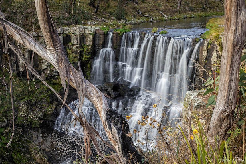 The breathtaking beauty of Ebor Falls, New South Wales.