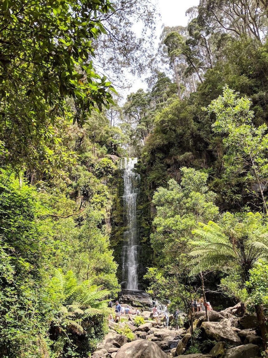 One of the the best waterfalls in Victoria: Erskine Falls, Great Otway National Park, Great Ocean Road.