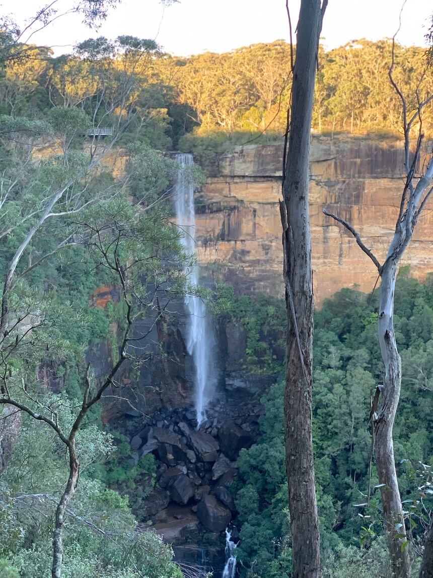 One of the best NSW waterfalls: Fitzroy Falls (Fitzroy Falls Lookout).