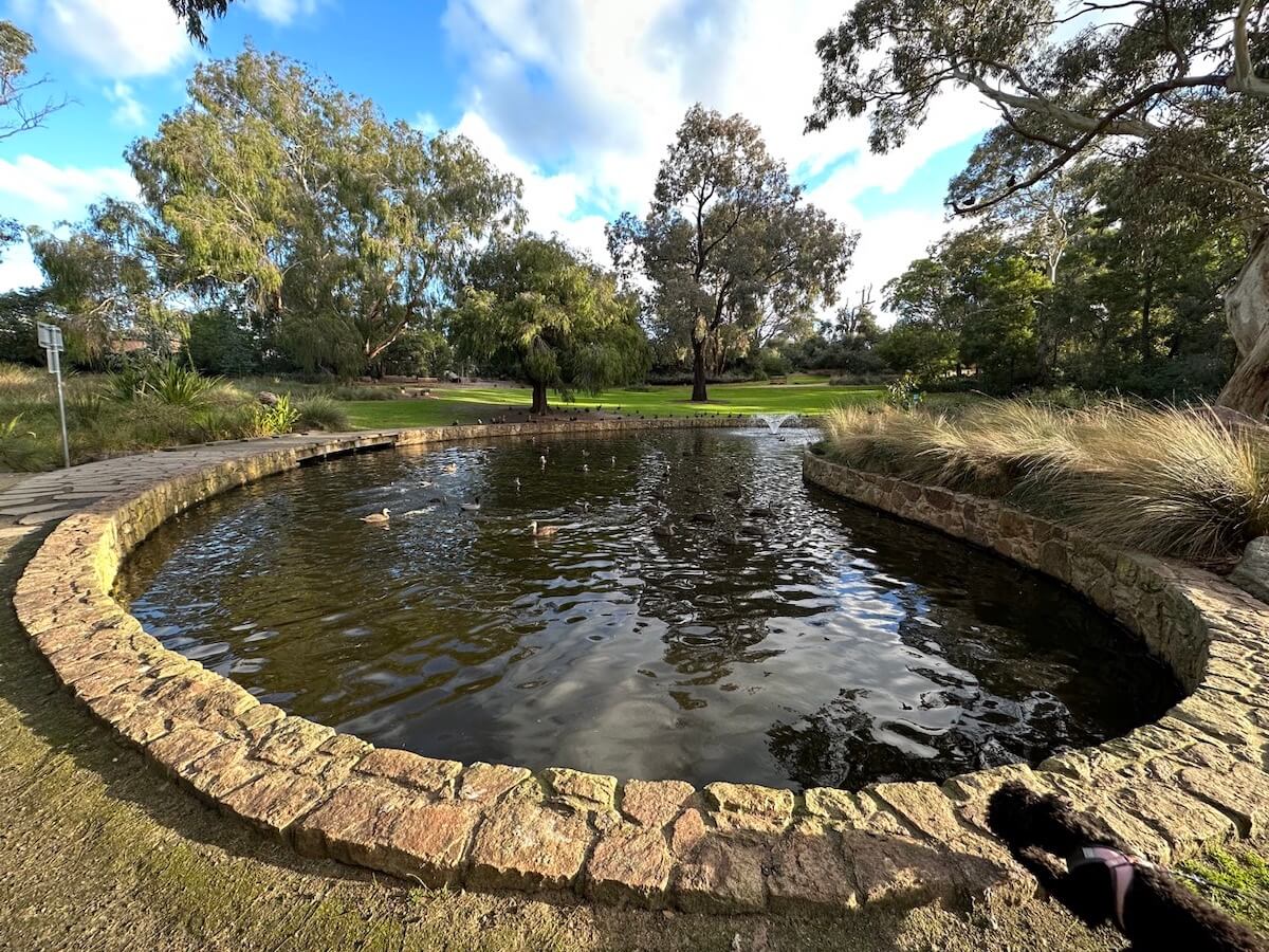 One of the best botanical parks in Melbourne: George Pentland Botanic Gardens.