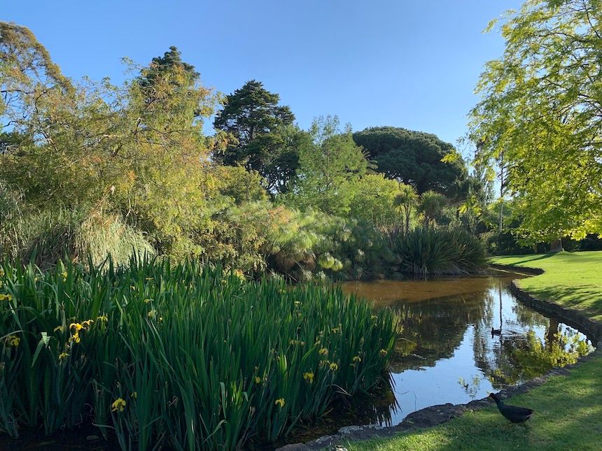 Hedgeley Dene Gardens, a secret garden in Melbourne and a beautiful picnic ground.