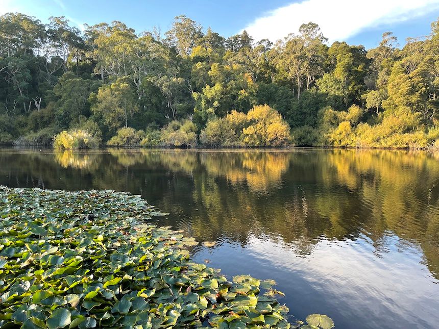Jubilee Lake in Daylesford, a beautiful picnic area and a fantastic spot for family activities.