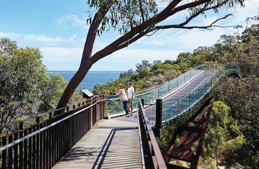 Federation Walkway Bridge @ King Park and Botanic Garden is one of the best Perth outdoor activities.