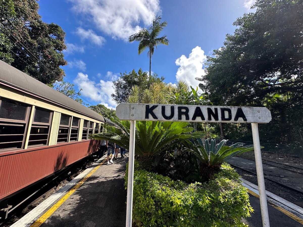 Kuranda Village is home to Kuranda Koala Gardens, Birdworld, the Butterfly Sanctuary, a cool playground, aboriginal art gallery, local shops and cafes.