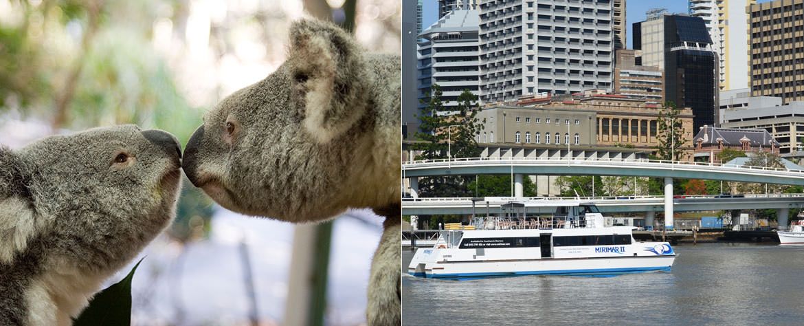 The great value Lone Pine Koala Sanctuary & Return Scenic River Cruise combo package to get more activities for less.