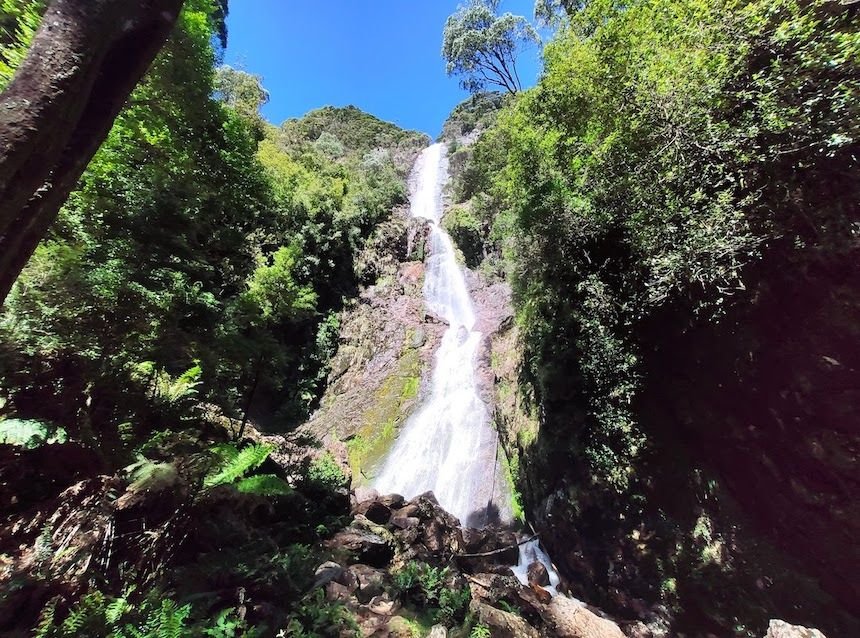 The stunning Montezuma Falls in Tasmania.
