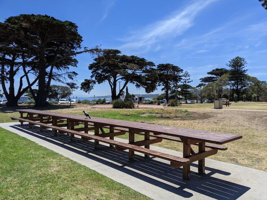 Mornington Park offers a perfect picnic area for families.