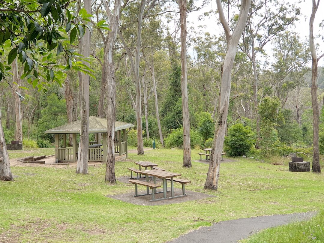 Queen Mary Falls Picnic Area.