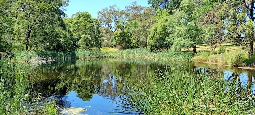 Seawinds Gardens in Arthurs Seat State Park, a beautiful picnic spot for families.