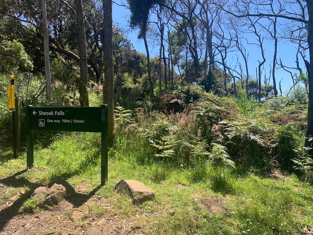 A short 30-min return walk from the carpark to see one of the most beautiful waterfalls in Melbourne and Victoria.