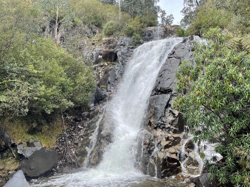 Steavenson Falls in Marysville is the perfect destination for families with kids.
