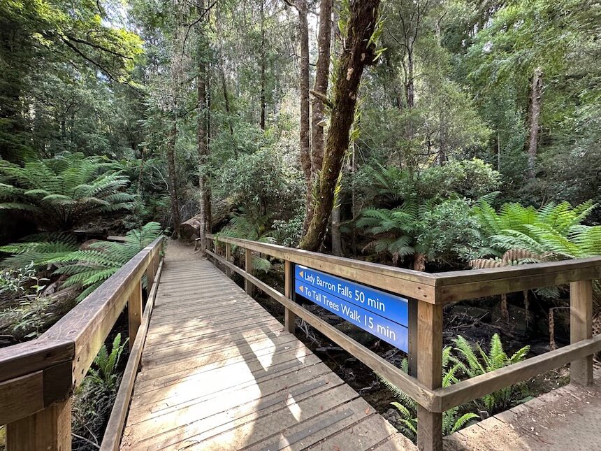 Accessible part of the walking path in Mount Field National Park, Three Falls Circuit, Tasmania.