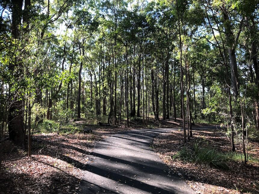 Whites Hill Reserve in Brisbane is a perfect park to walk your dog & see local wildlife.