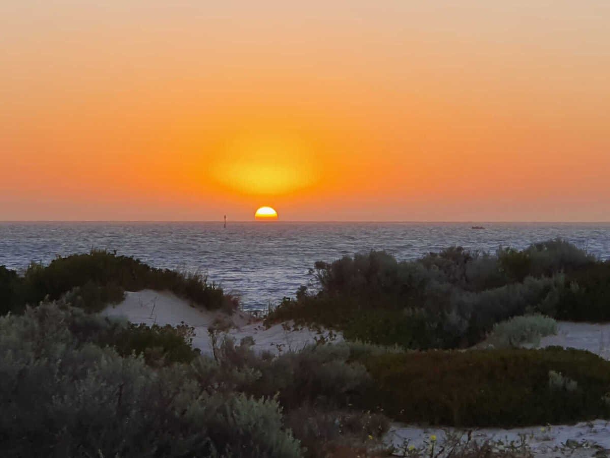 Enjoy the gorgeous Perth sunset at the dog-friendly Whitfords Beach.