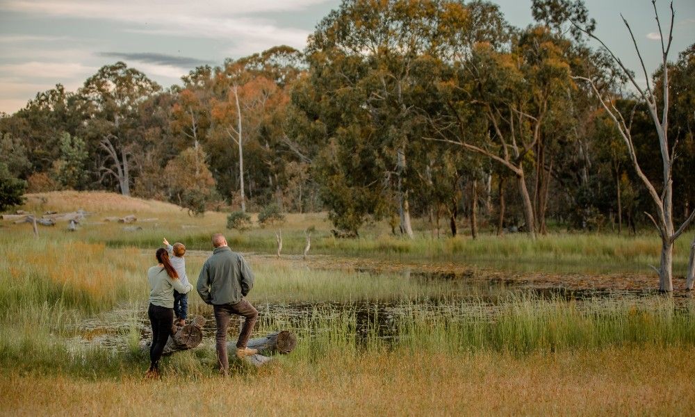 Fun things to do in Canberra with kids: Wildbark Visitor Centre Twilight Tour.
