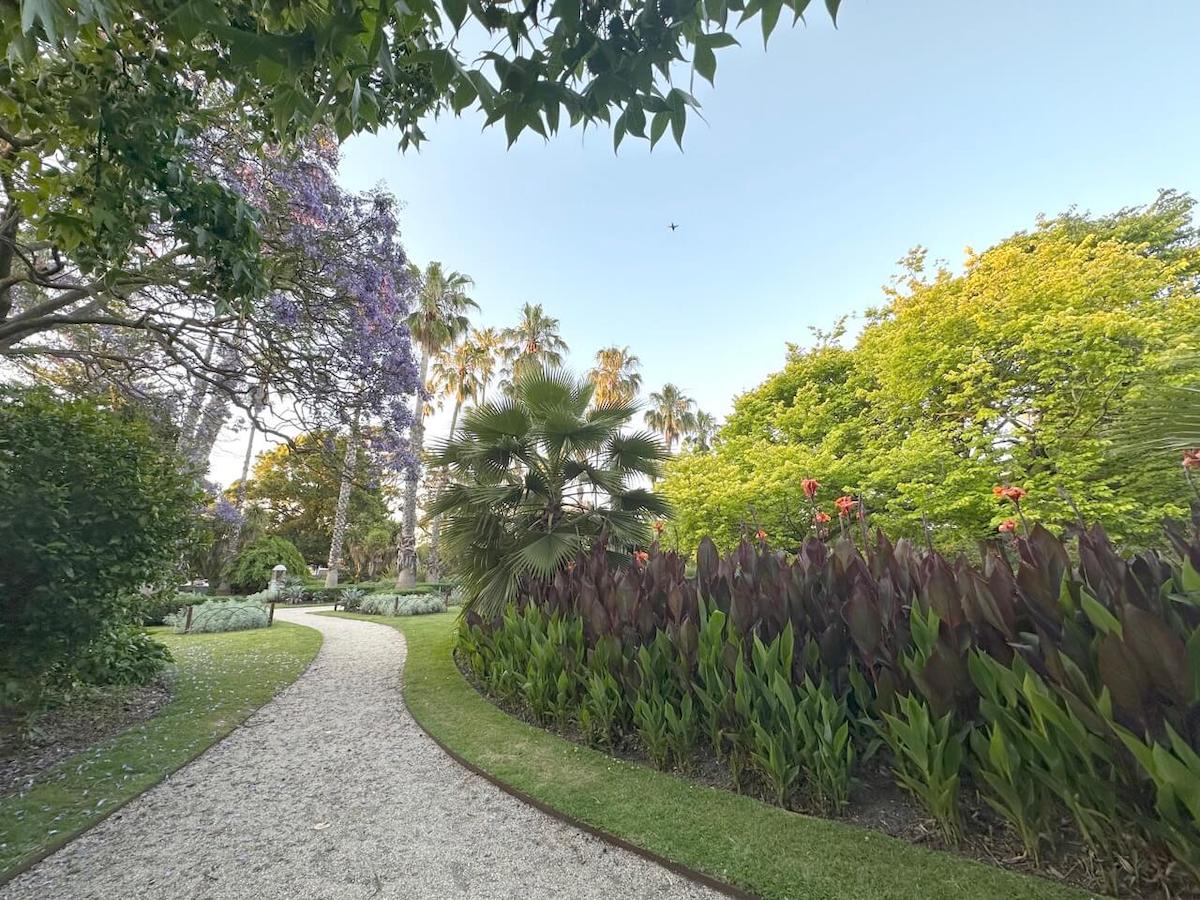 Beautiful walking path and picnic lawns at Williamstown Botanic Gardens.