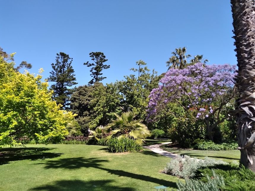 Botanical Gardens Williamstown is a beautiful family-friendly picnic spot near Melbourne.