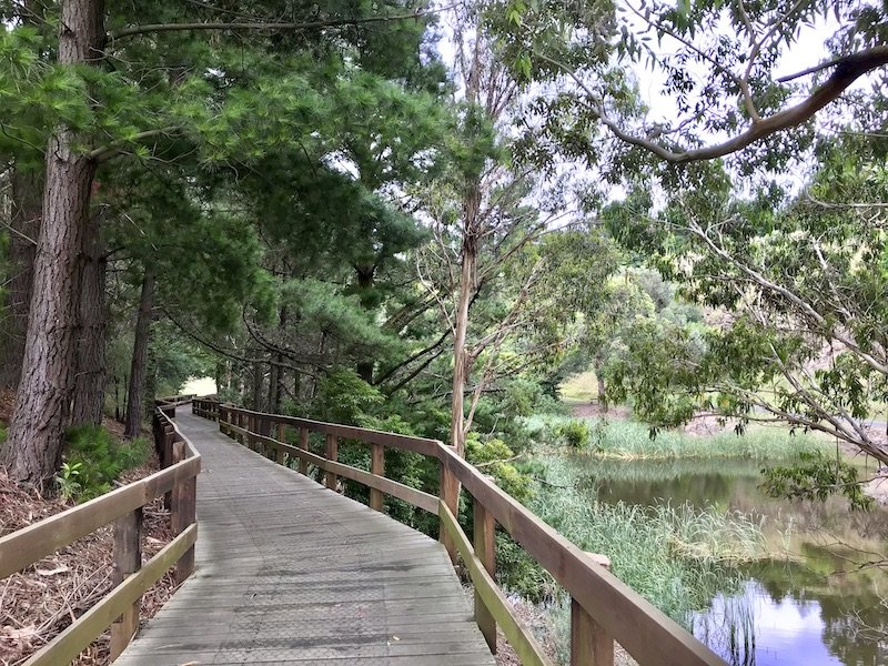 Beautiful forest walk by the lake at Wilson Botanical Gardens in Melbourne.