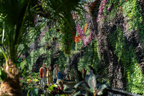 What's on in Sydney for families: Alchemy of a Rainforest at The Calyx