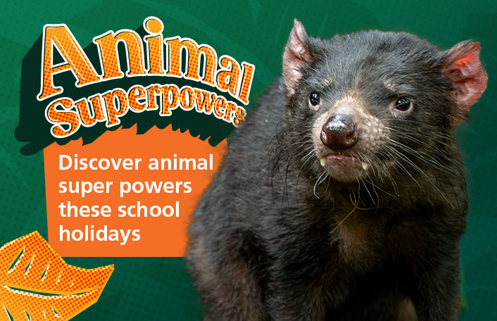 Family events Adelaide September 2026: Animal Superpowers at Adelaide Zoo