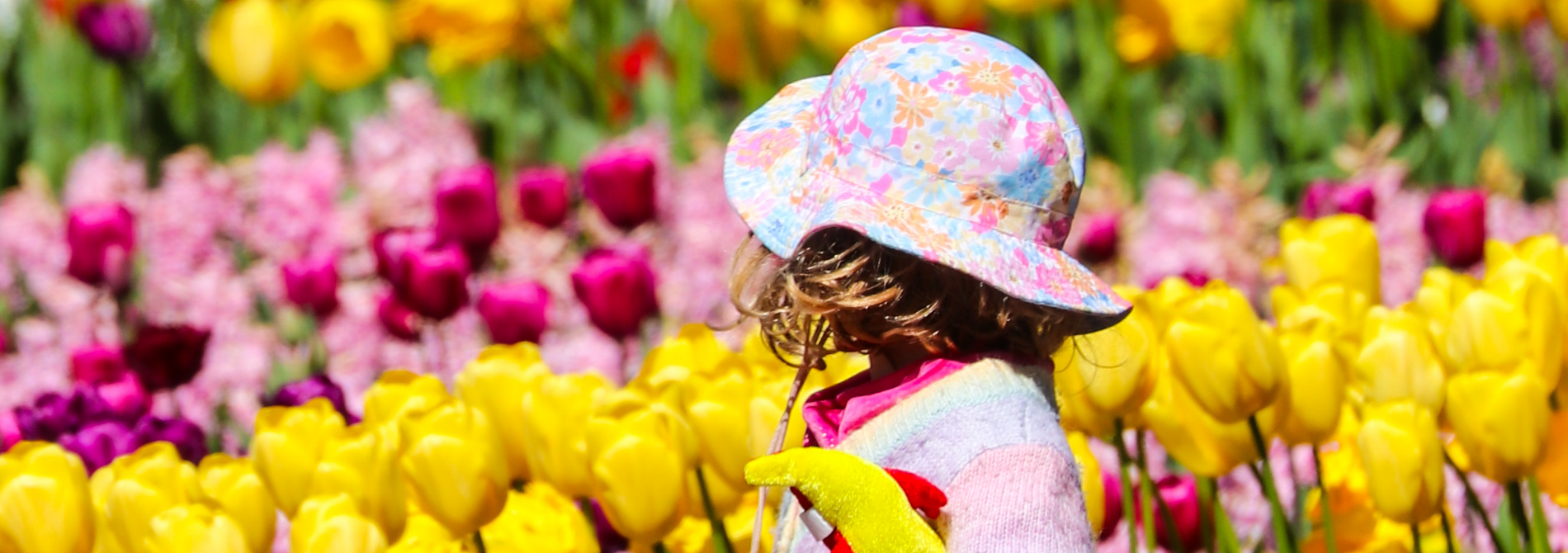 What's on in Canberra for families: Kids Potting Up at Floriade