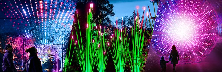 What's on June - July school holidays in Melbourne: Lightscape Melbourne 2024