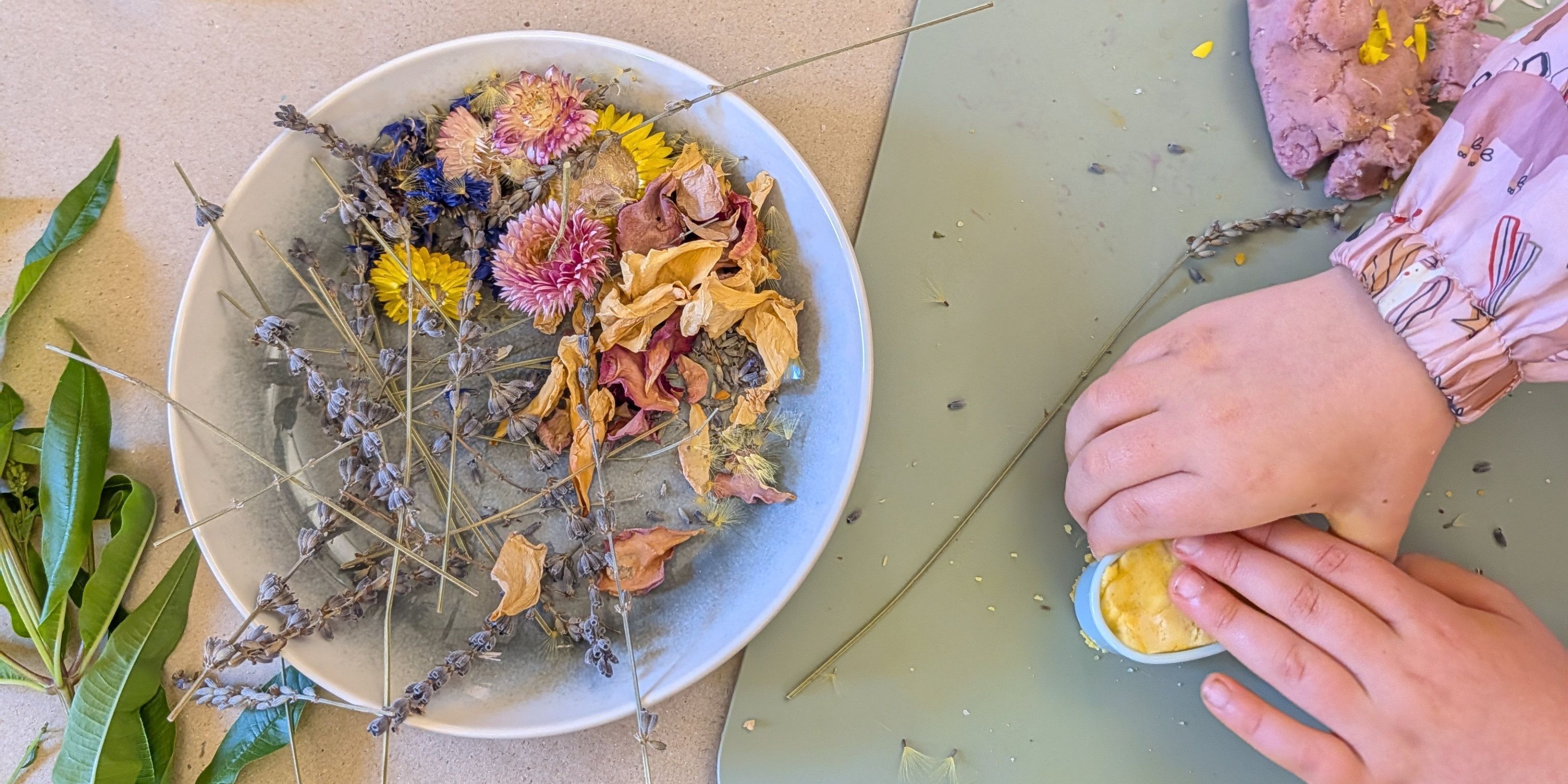 Family events Adelaide September 2026: Nature Dough Kids Workshop