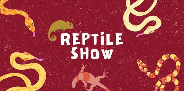 Kids school holiday activities (April 2024): Reptile Show in Penrith, NSW