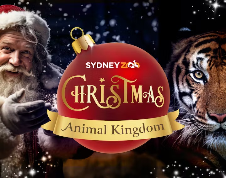 Christmas things to do in Sydney: Christmas at Sydney Zoo