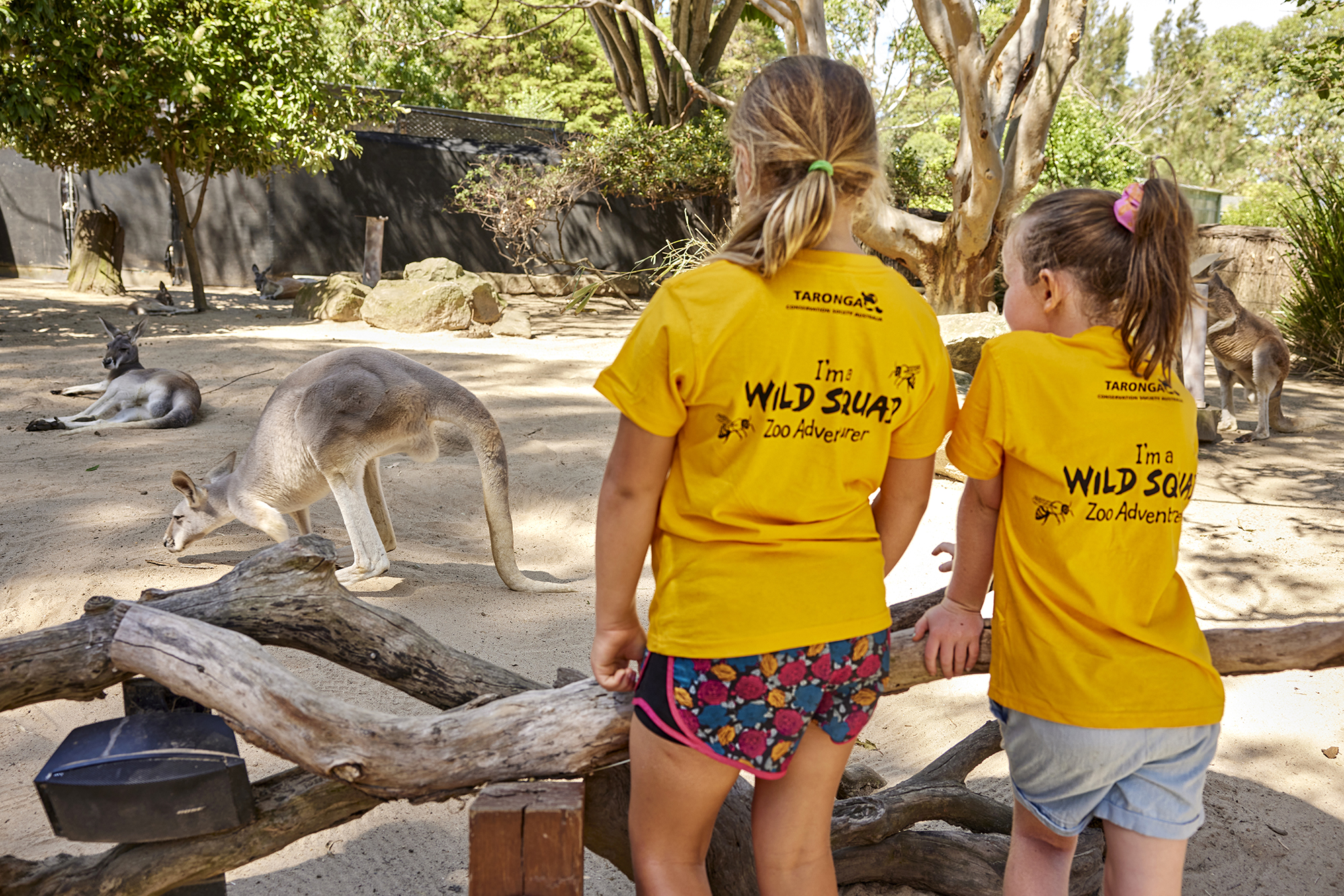 What's on in Sydney for families: Taronga Zoo Adventures