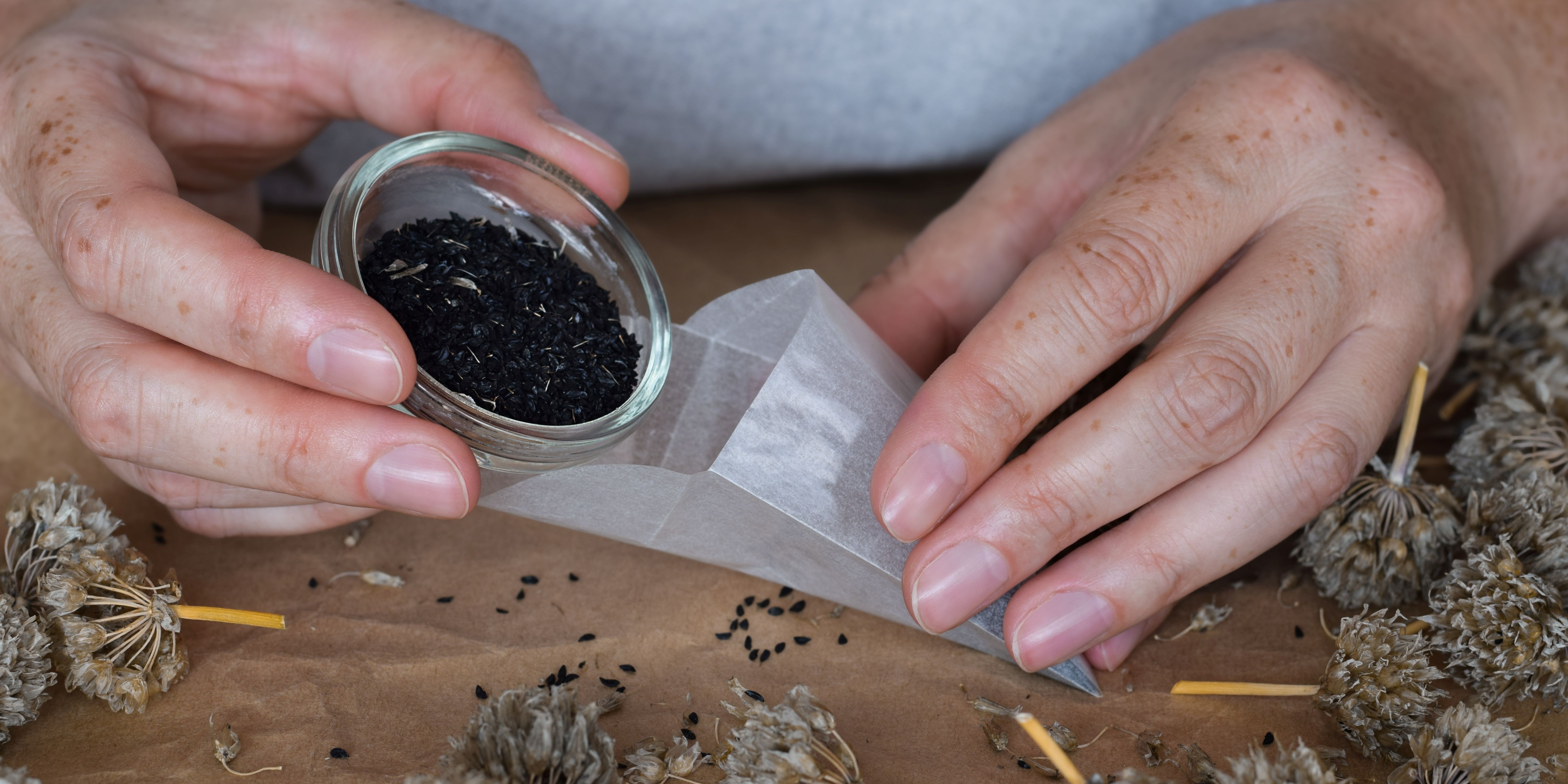 Family events Adelaide September 2026: Great Botanic Seed Swap