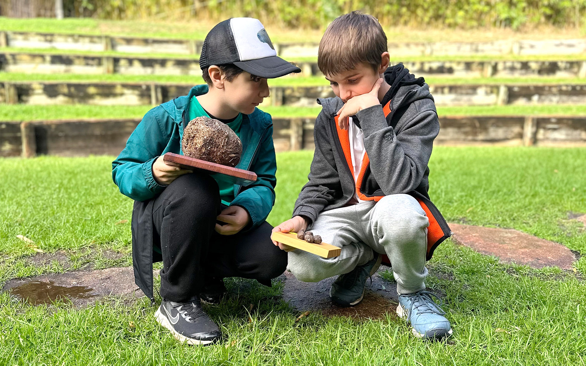 What's on in Perth for families: Warriors for Wildlife at Perth Zoo
