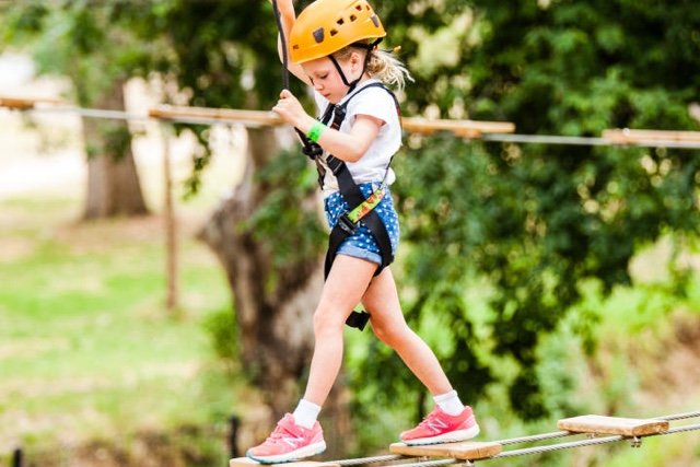 TreeClimb Adventure Park Adelaide