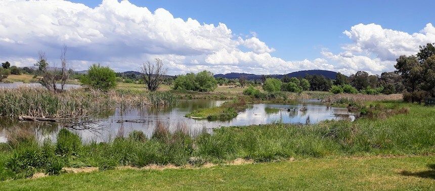 Free things to do in Canberra: Jerrabomberra Wetland.