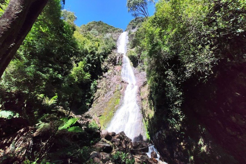 Montezuma Falls Trailhead