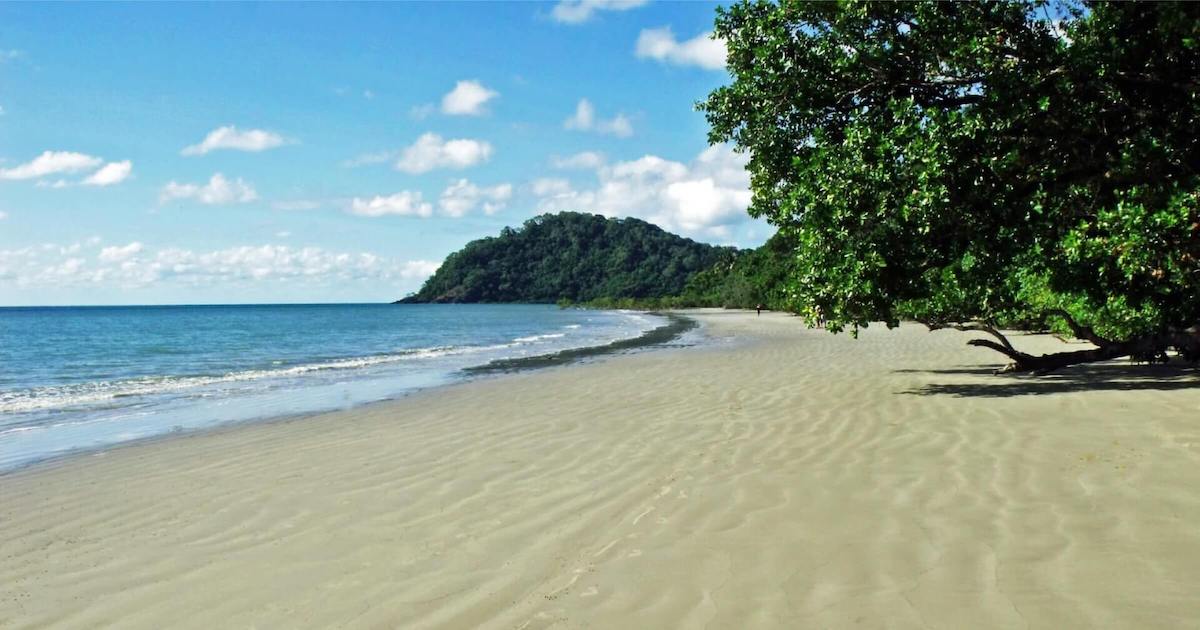 Things to do at Cape Tribulation