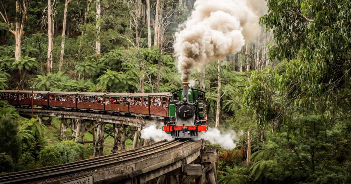 Things to do in Dandenong Ranges